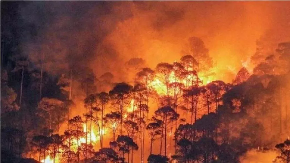Forest Fire: हिमाचल और उत्तराखंड में फिर बढ़ने लगी जंगल में आग की घटनाएं, अग्निशमन कर्मियों की छुट्टियां रद; अब तक करोड़ों रुपये का हुआ नुकसान