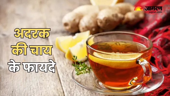 Ginger Tea पीने से मिलेंगे सेहत को कई लाभ (Picture Courtesy: Freepik)