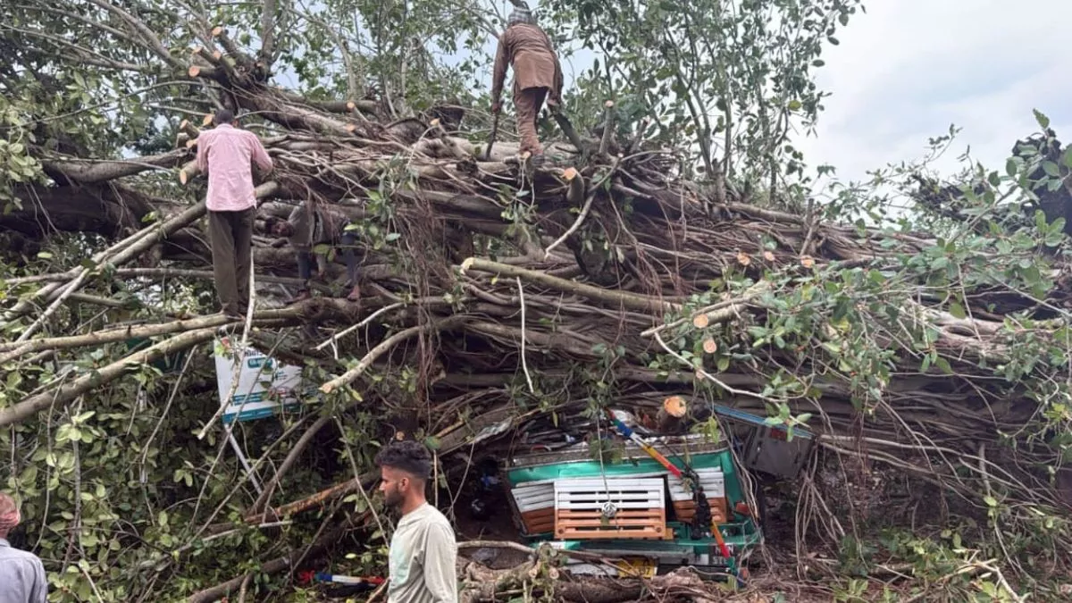 Himachal News: कांगड़ा में तूफान ने मचाई तबाही, ट्रक पर गिरा बरगद का पेड़; चालक समेत दो की मौत