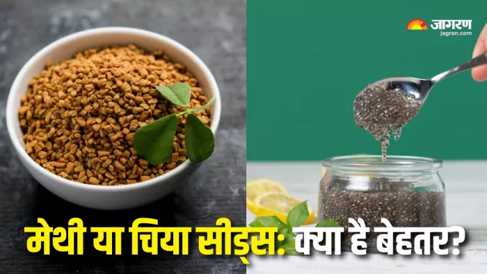 Methi Vs Chia Seeds: वजन कम करने के लिए क्या खाएं? (Picture Courtesy: Freepik)