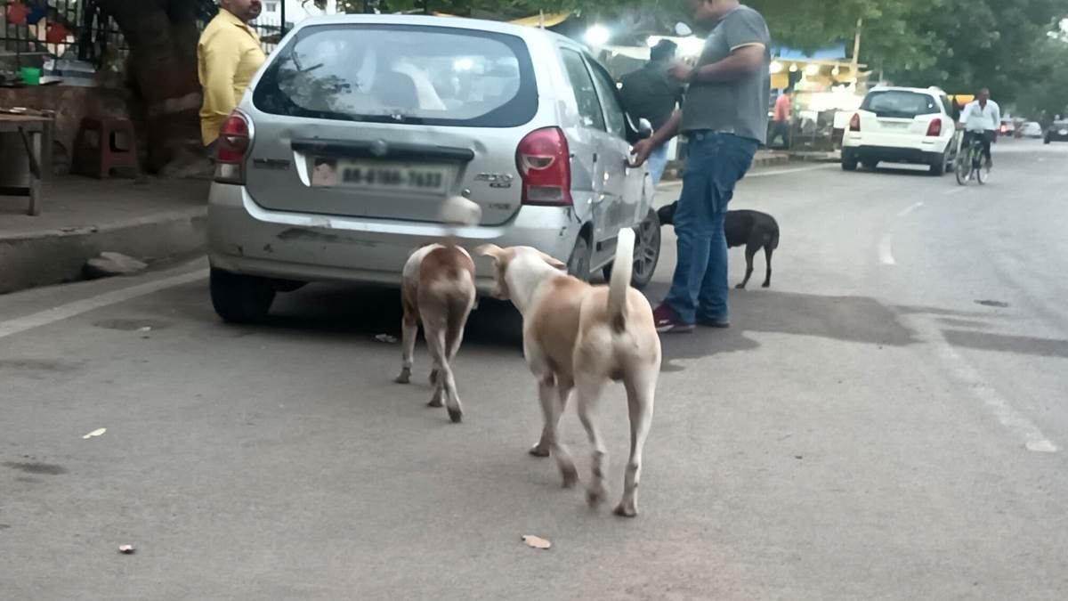 https://www.jagranimages.com/images/newimg/19052025/19_05_2025-patna_dog_23941625.jpg