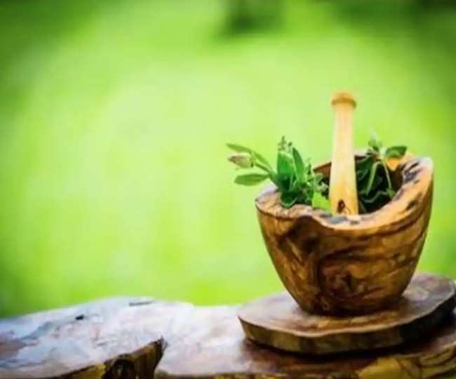 Fight Against Corona: आयुर्वेद की खुराक के आगे कोरोना ने टेके घुटने, जानिए कैसे 12 दिन में पॉजिटिव से निगेटिव हुए मरीज