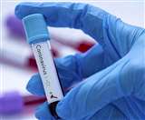 जिले में कुल 8029 लोगों ने टीकाकरण कराया।