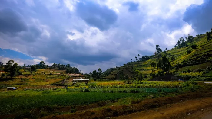 Weekend Destination: उत्तराखंड के इस खूबसूरत हिल स्टेशन आकर बनाएं अपने  वीकेंड को शानदार - Uttrakhand beautiful hill station Chaukori is best for  weekend