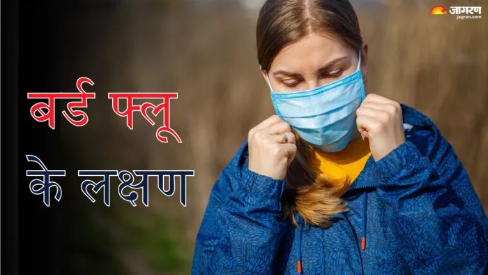 इन लक्षणों से करें बर्ड फ्लू पहचान (Picture Credit- Freepik)