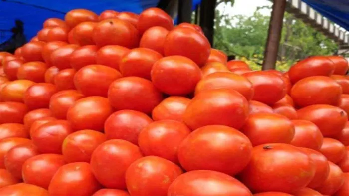 Tomato Price Hike: महंगा हो गया टमाटर