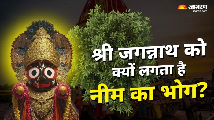 Jagannath Rath Yatra 2025: क्यों लगता है नीम का भोग?