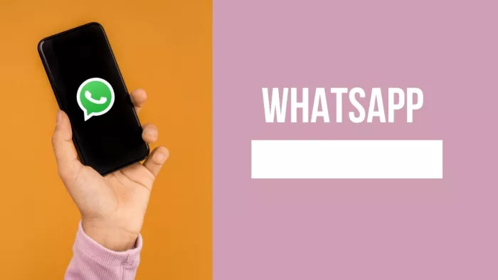 WhatsApp is widely rolling out a message reaction feature for community announcement groups