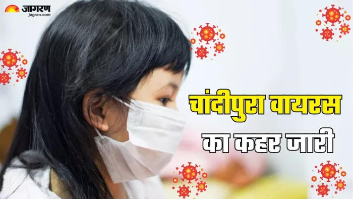 गुजरात में बढ़ रहा चांदीपुरा वायरस का प्रकोप (Picture Credit- Freepik)