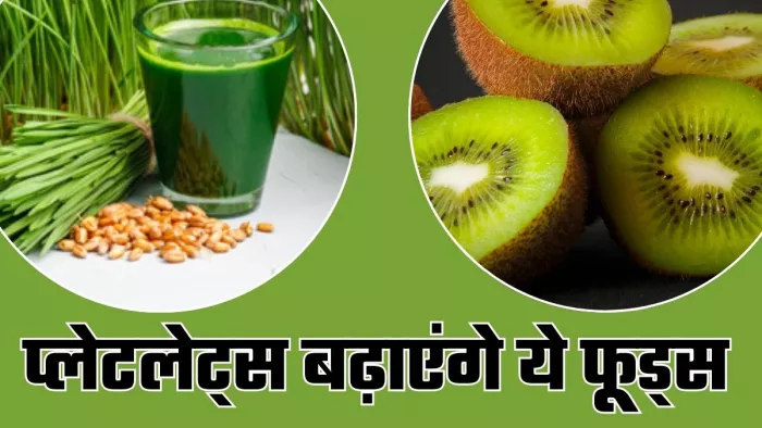 डेंगू में कम हुए प्लेटलेट्स बढ़ाएंगे ये फूड्स (Picture Credit- Freepik)