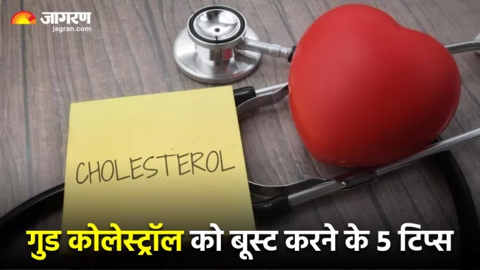 डेली रूटीन में एक्सरसाइज और खानपान का ख्याल रखकर गुड कोलेस्ट्रॉल को बढ़ा सकते हैं।