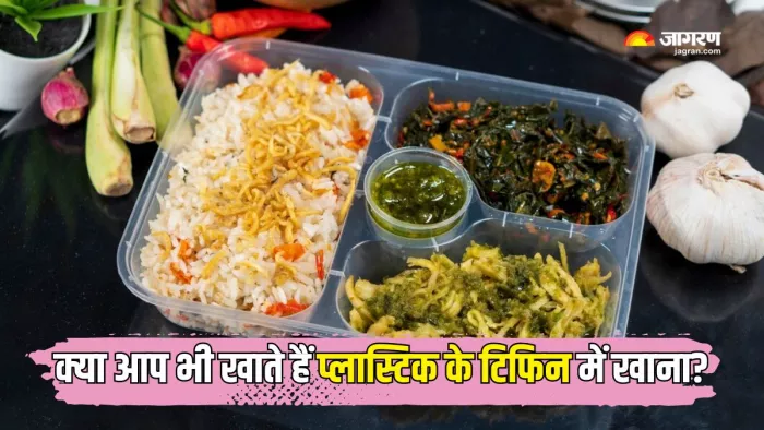 Plastic में गर्म खाना खाने से सेहत को चुकाना पड़ सकता है जुर्माना (Picture Courtesy: Freepik)