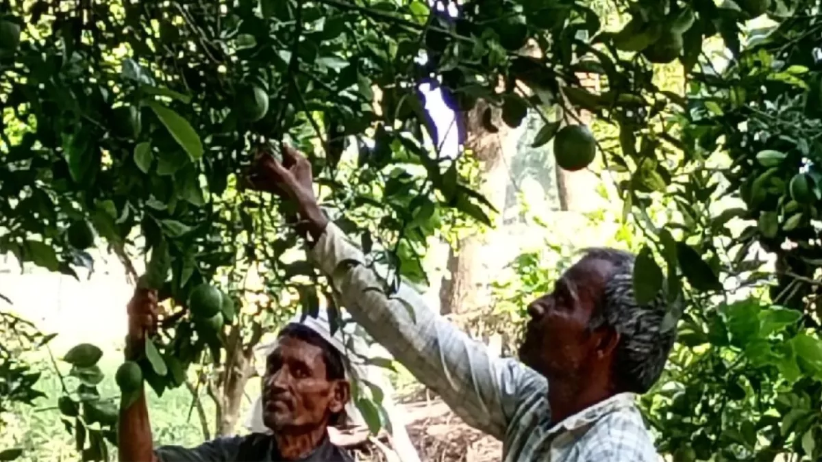 Agriculture News; समृद्ध होंगे किसान, मिलेगा 40 प्रतिशत अनुदान, सीधे खाते में जाएगी धनराशि