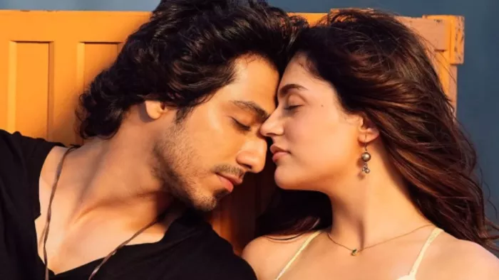 सैयारा के लिए अहान पांडे ने ली कितनी फीस/ फोटो- Instagram
