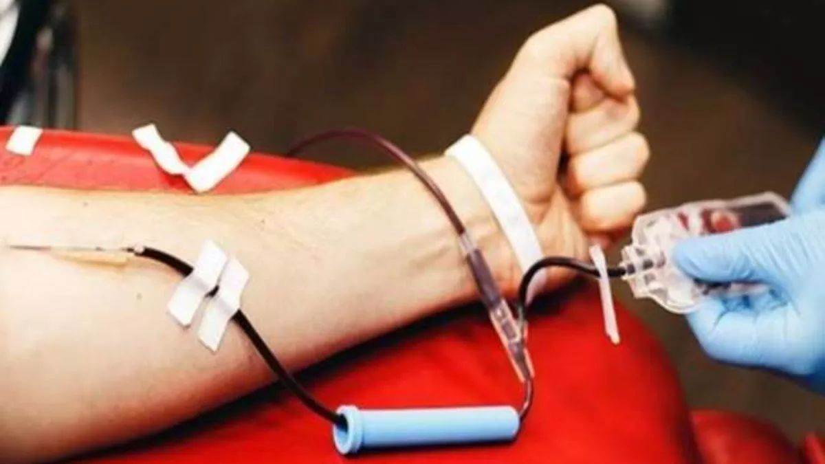 taiwan university vampire football coach took blood in exchange for degree