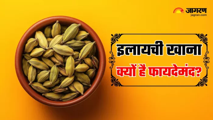खाना खाने के बाद इलायची चबाने के फायदे (Image Source: Freepik)