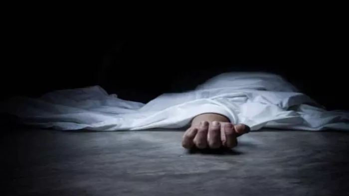 ट्रक पर चढ़ा चालक हाईटेंशन लाइन के चपेट में आया, मौत। फाइल फोटो