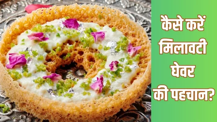 घेवर खरीदते समय ध्यान रखें ये बातें (Image Credit- Youtube)