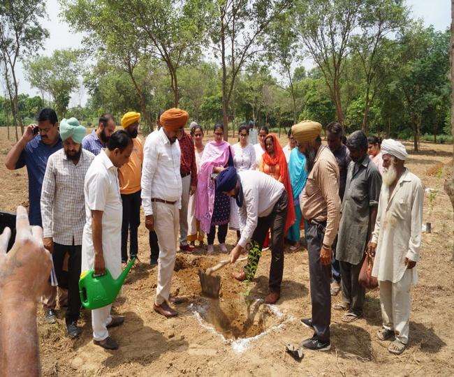 जगराओं के सनमति सरकारी साइंस व रिसर्च कालेज में मेडिसिनल पार्क का