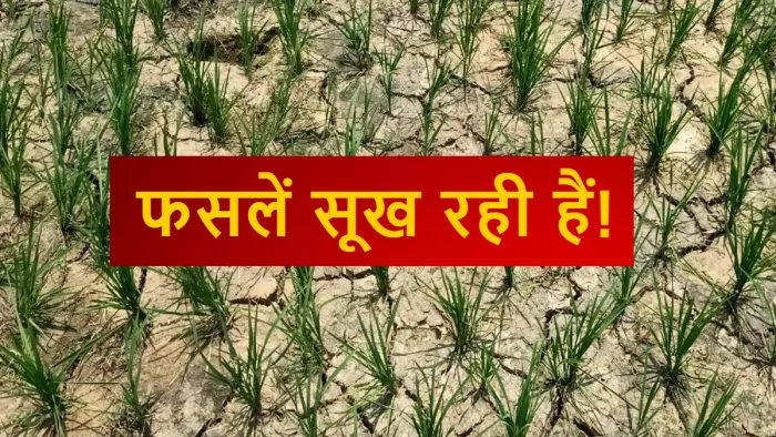 Bihar News : जमुई में अकाल की काली छाया, किलो-दो किलो में भरना होगा पेट, देखें आंकड़ें