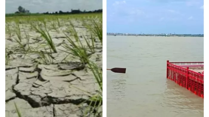 प्रयागराज में बाढ़ और सूखा एक साथ... गंगा-यमुना में बाढ़ का खतरा, बारिश न होने से सूख रही फसलें