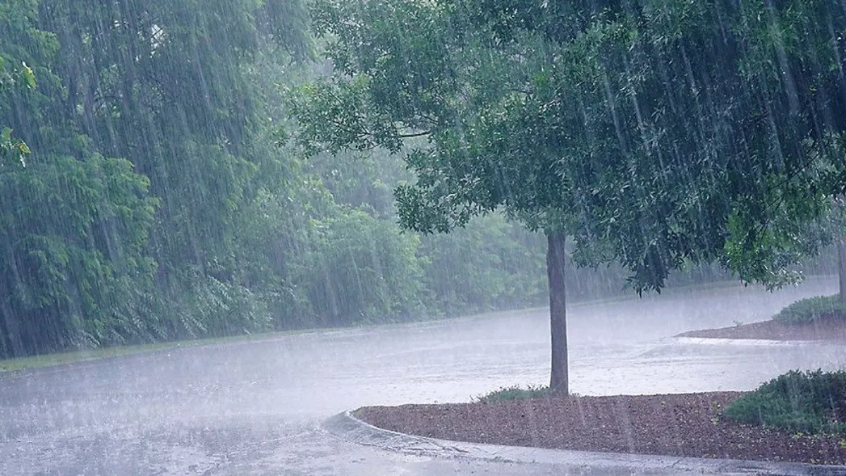 UP Weather: आज मूसलाधार बारिश के बीच होगा कान्‍हा का जन्‍म, लखनऊ समेत कई जिलों में अलर्ट जारी