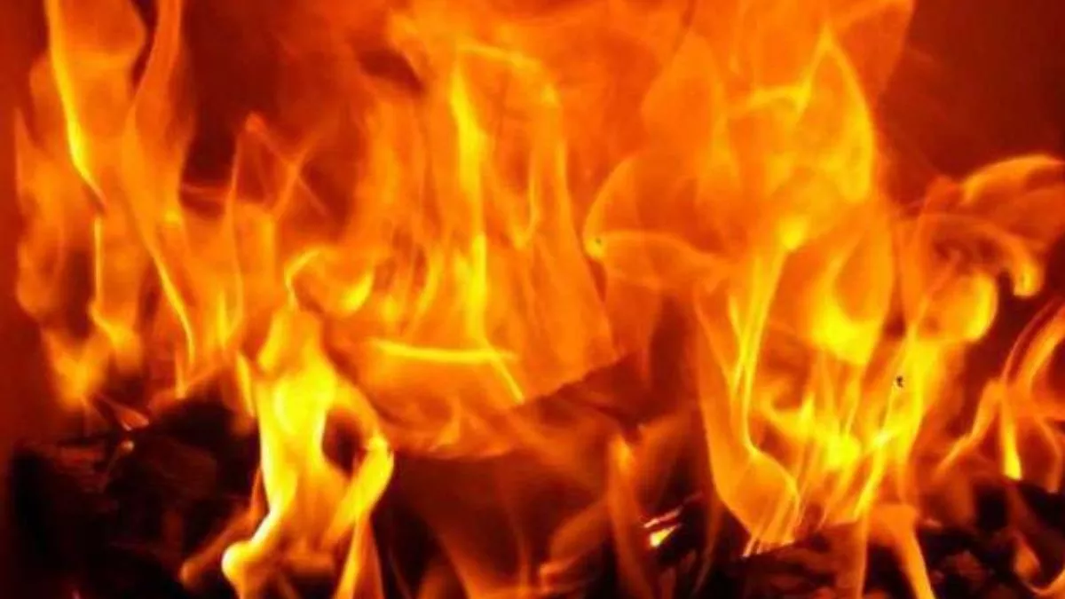 Andhra Pradesh: चीनी रिफाइनरी में आग लगने से दो मजदूरों की मौत, शॉर्ट सर्किट से हादसा