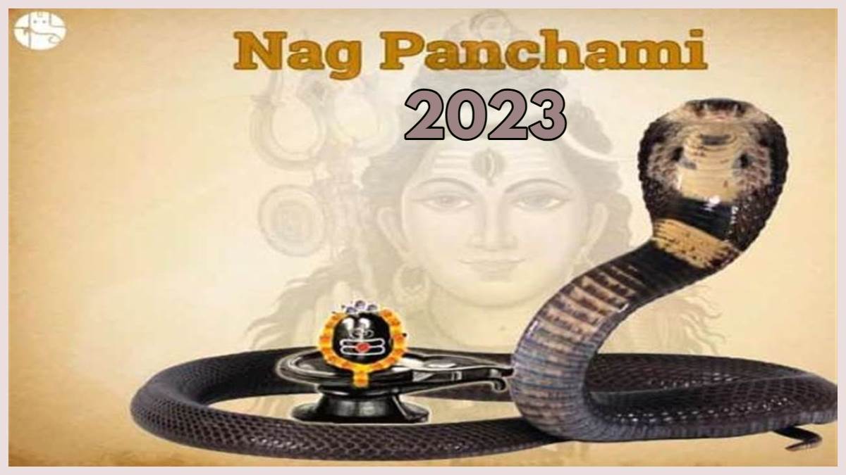 News Article Hero Image