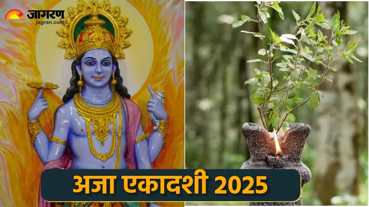 Aja Ekadashi की शाम को तुलसी के पास जरूर करें ये काम, विष्णु जी के साथ मिलेगी मां लक्ष्मी की कृपा