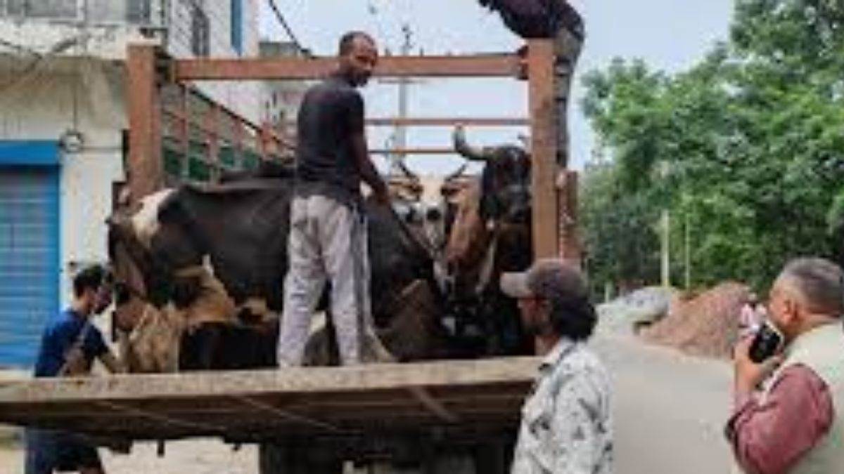 https://www.jagranimages.com/images/newimg/19082025/19_08_2025-animal-catcher_24017748.jpg