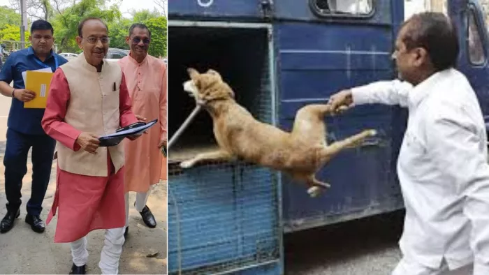 रोहिणी एमसीडी जोन के वेटनरी डाॅक्टर की शिकायत पर संबंधित धाराओं में मामला दर्ज कर लिया है।