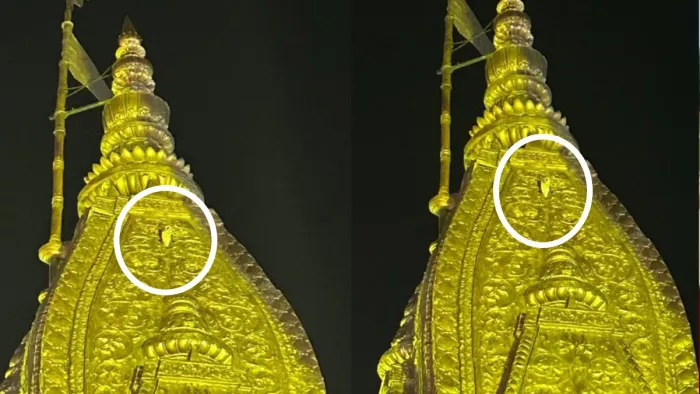 उल्लू की उपस्थिति भक्तों में चर्चा का विषय है और मनोकामनाएं पूर्ण होने का प्रतीक मानी जा रही है।