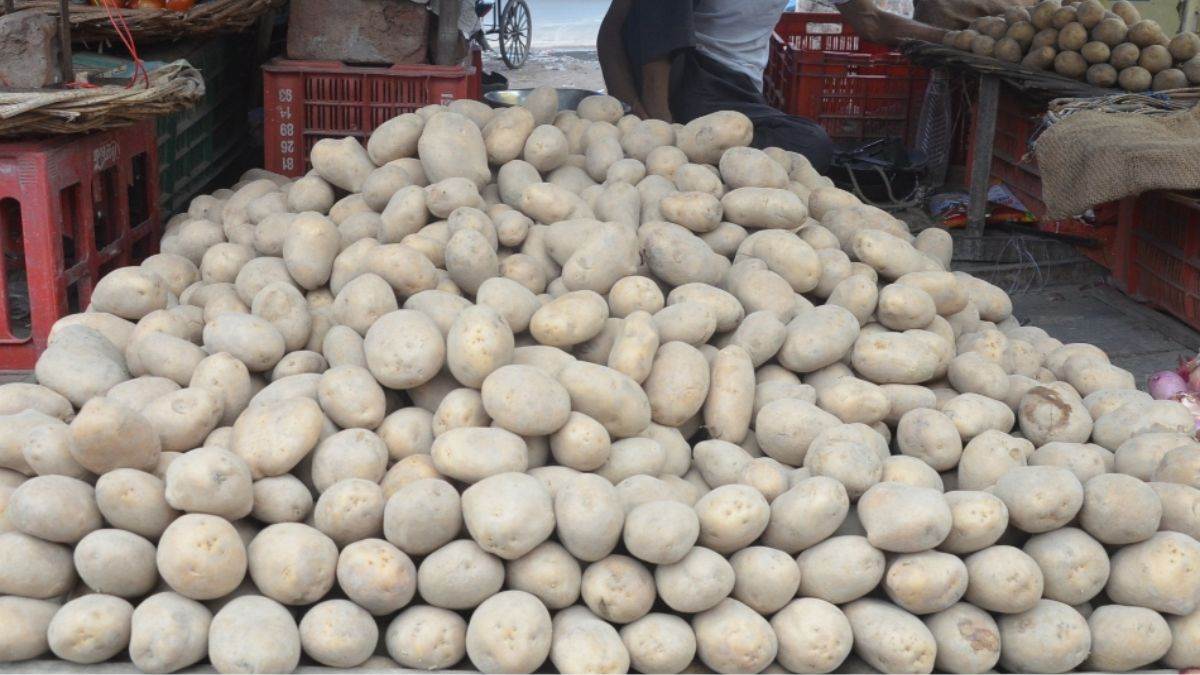 https://www.jagranimages.com/images/newimg/19082025/19_08_2025-potato_on_shop_24017422.jpg