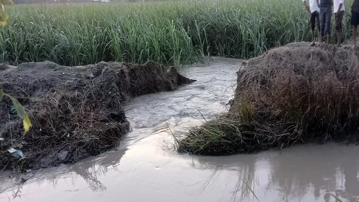 मेरठ में रजवाहा की पटरी टूटी, कस्बे में आबादी तक पहुंचा पानी, फसलों को भारी नुकसान