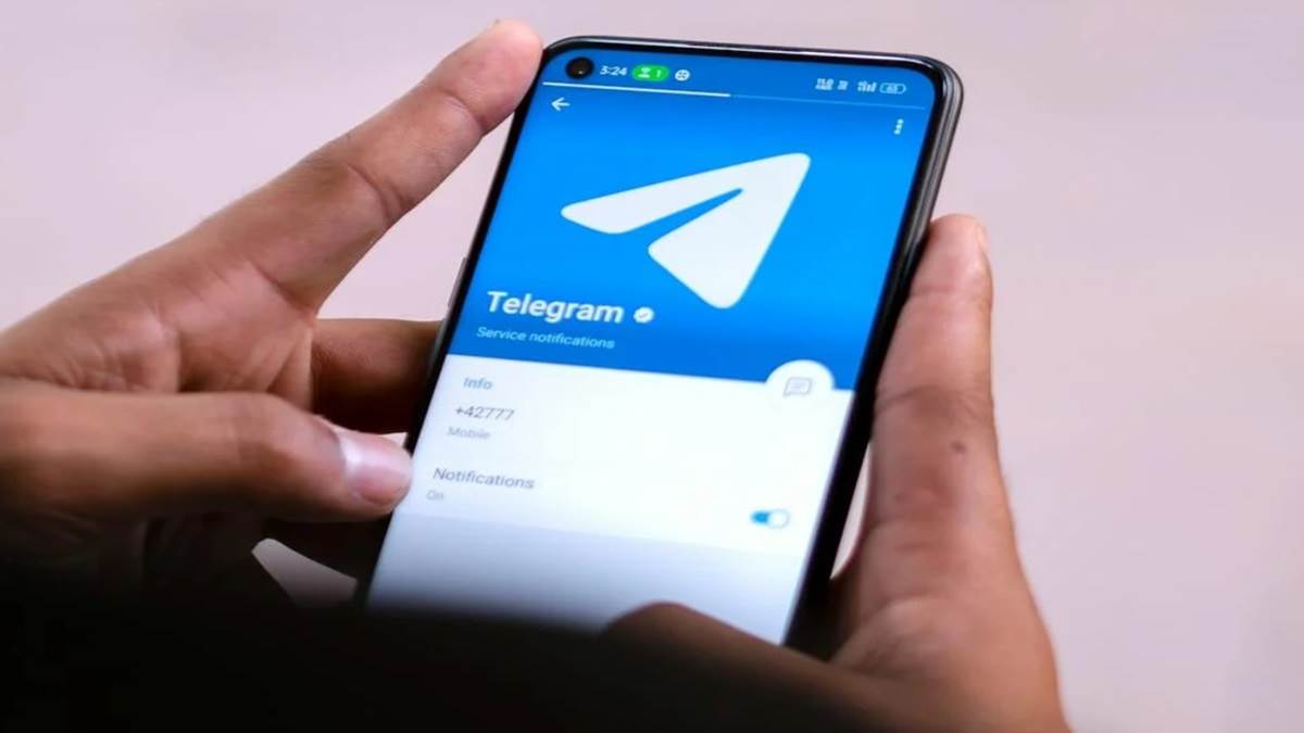case of fraud with a woman in haryana the accused robbed her of rs 12 lakh by offering a job on telegram