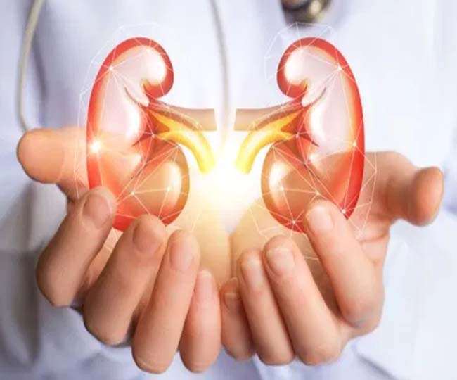 फूलगोभी में फोलेट और विटामिन-सी जैसे पोषक तत्व शामिल रहते हैं।