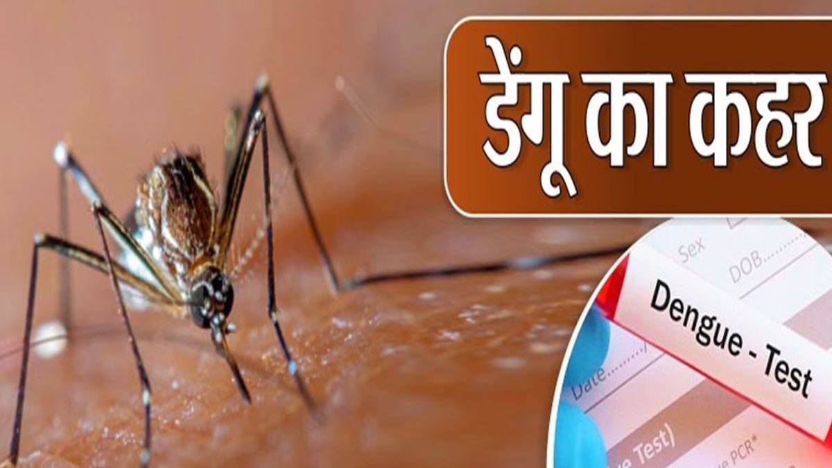 हरियाणा के इस शहर में डेंगू का कहर, अब तक 72 पाजिटिव, अब सरकारी अस्‍पताल  में निशुल्‍क प्‍लेटलेट्स - Dengue havoc in Yamunanagar Haryana 72 cases  found so far now free platelets