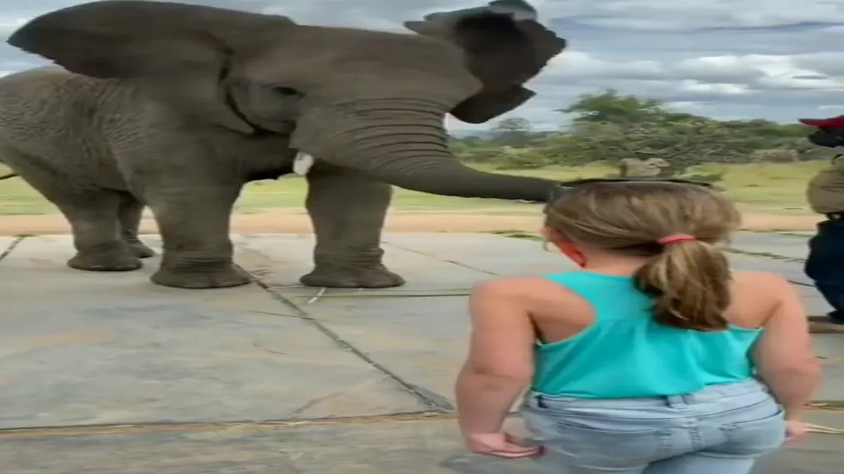Hathi aur ladki ki bf