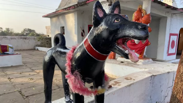 Chhattisgarh: आस्था की अद्भुत मिसाल, छत्तीसगढ़ में कुत्ते की समाधि को सम्मान देने मुख्यमंत्री पहुंचे कुकुरदेव मन्दिर