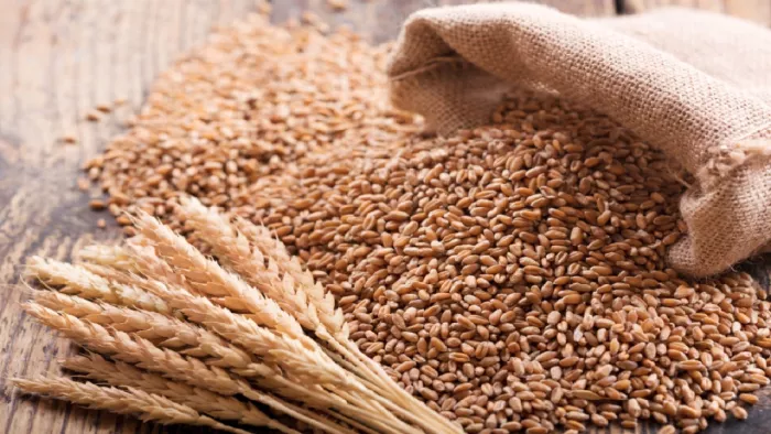 Enough wheat stock in India; Govt to take action against hoarders if needed