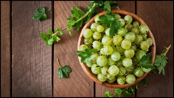 रोजाना खाली पेट आंवले का जूस पीने के फायदे