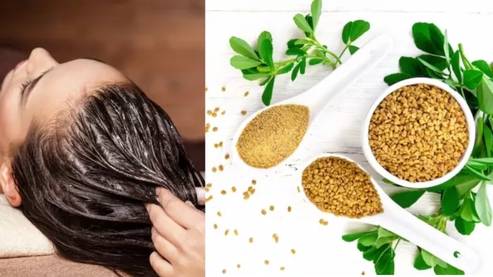 Fenugreek Seeds for Hair: लंबे, हेल्दी और खूबसूरत बालों के लिए आजमाएं मेथी दाने के ये कारगर उपाय