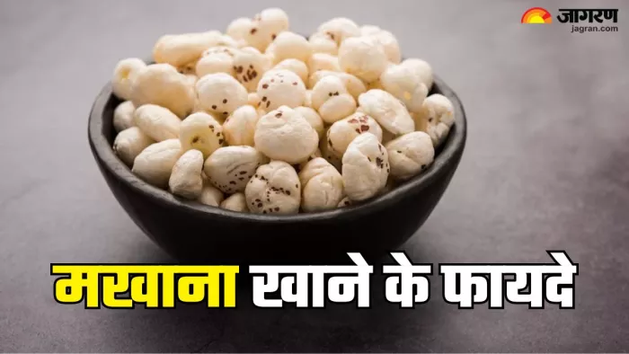 मखाने खाने के फायदे (Picture Credit- Freepik)