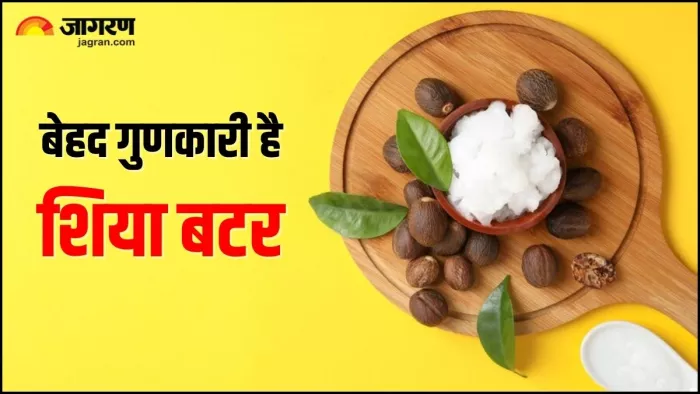 व्वचा और बालों के लिए वरदान से कम नहीं Shea Butter (Image Source: Freepik)