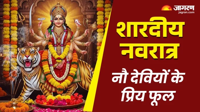 Shardiya Navratri 2025: मां दुर्गा के प्रिय फूल।