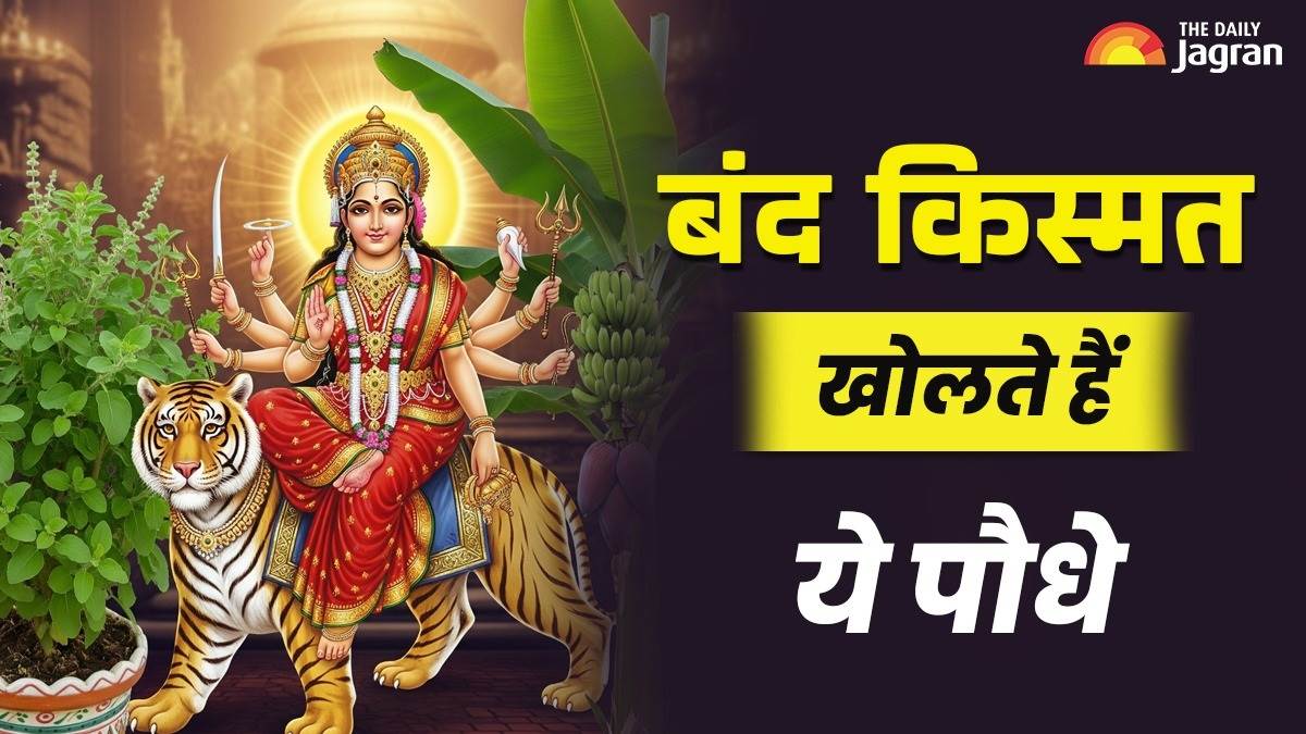 https://www.jagranimages.com/images/newimg/19092025/19_09_2025-navratri_plant_remedies_24052515.jpg