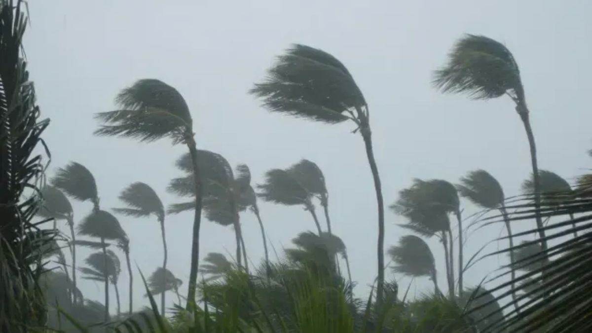 https://www.jagranimages.com/images/newimg/19092025/19_09_2025-odisha_rain_24052405.jpg