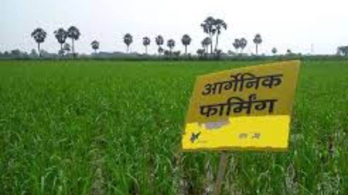 organic farming fraud farmers duped of crores in punjab case registered against eight persons