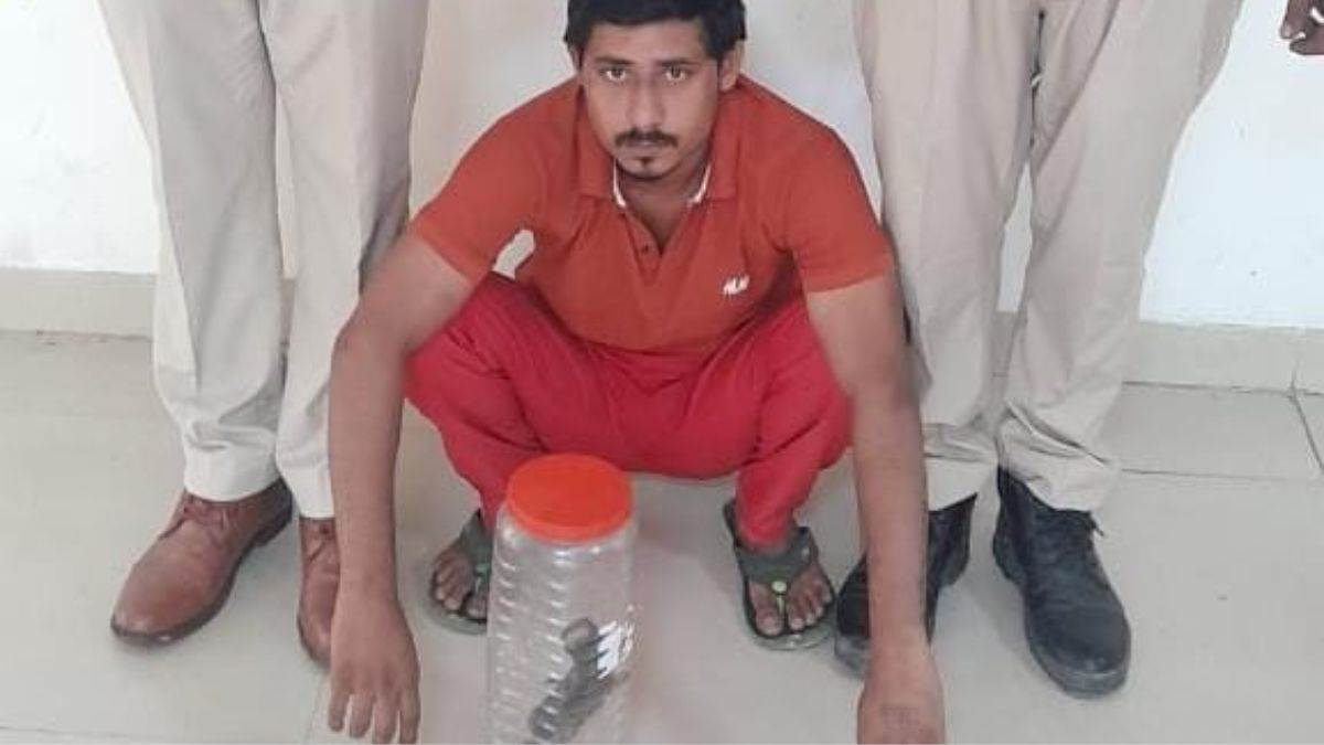 https://www.jagranimages.com/images/newimg/19092025/19_09_2025-palawal-news_24052912.jpg