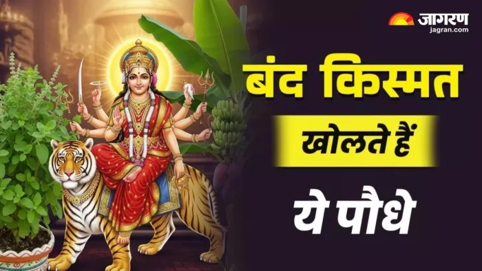 Shardiya Navratri 2025: घर में लगाएं ये पौधे।